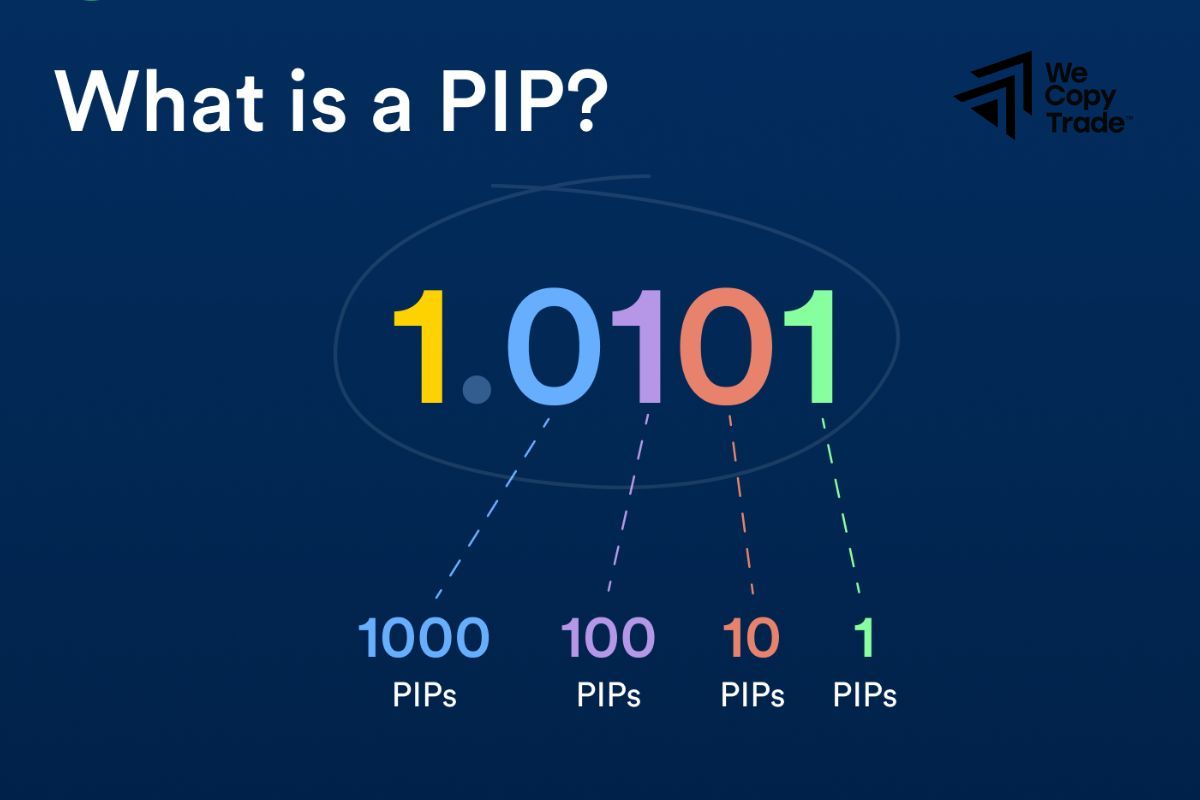 Definition & Meaning of Pip in Forex