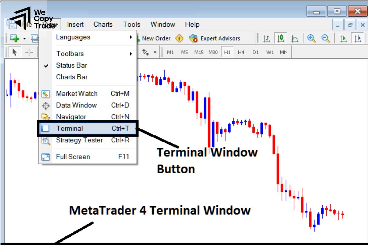 Access the "Terminal" Window