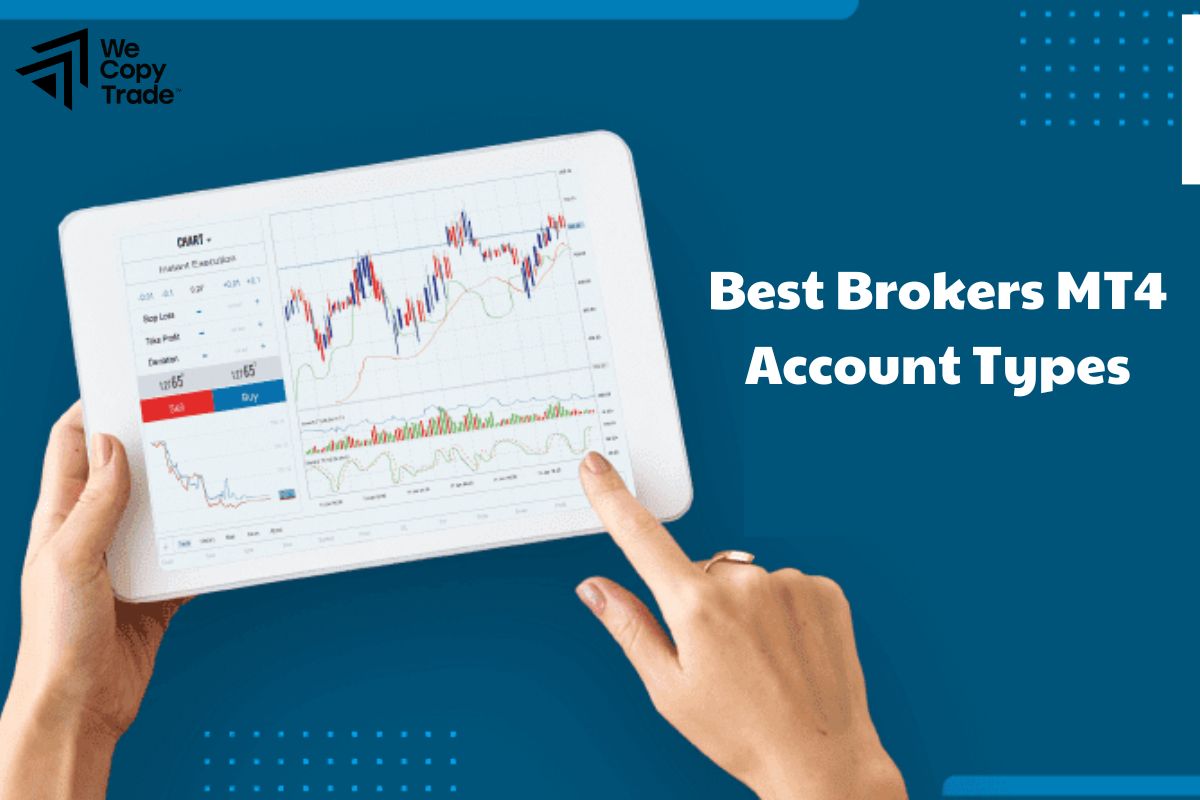 Best Brokers Offering MT4 Account Types