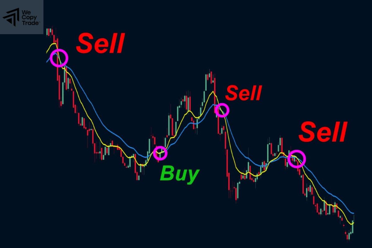 Top 12 indicators in MT4 that are widely used