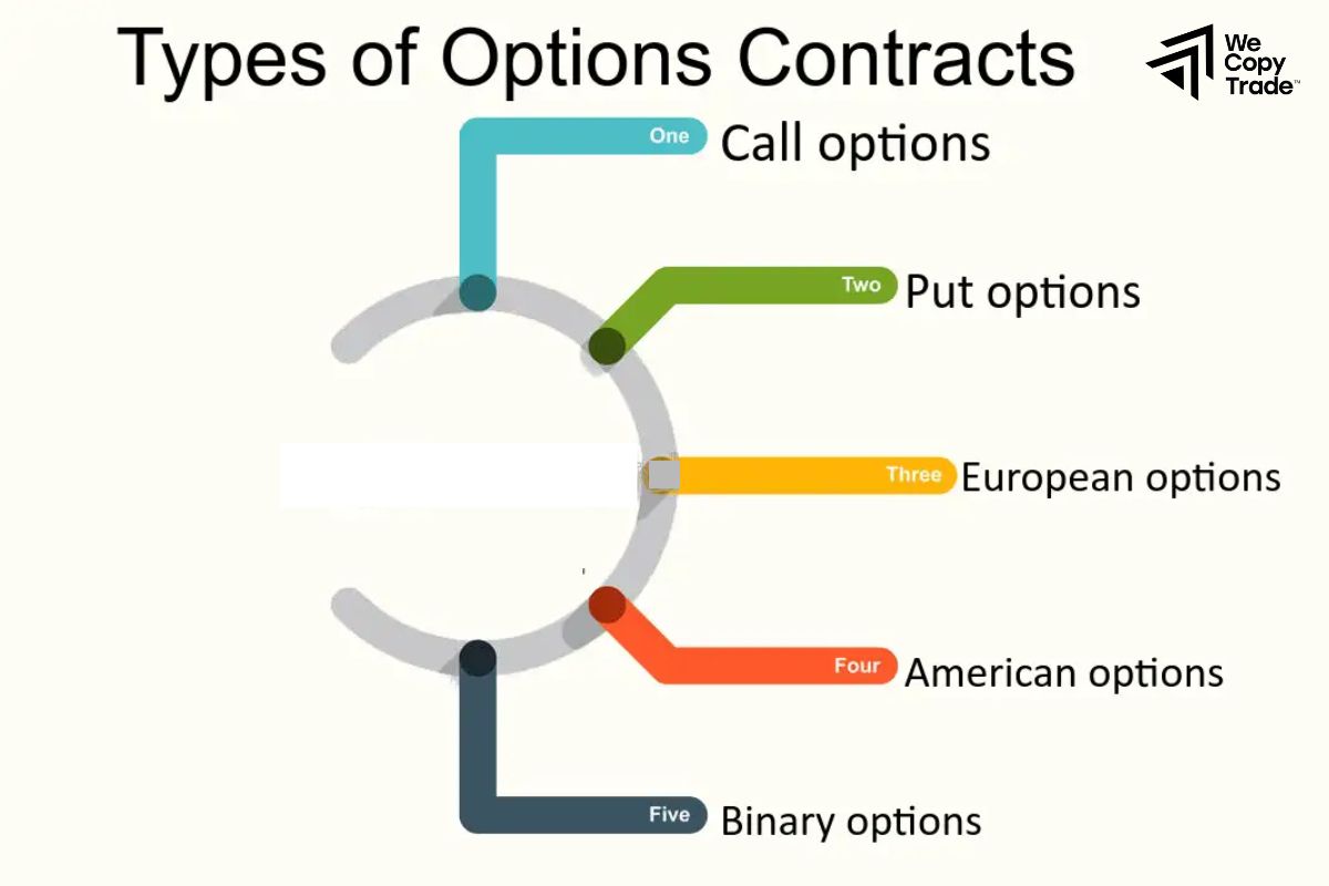 Using Options Contracts