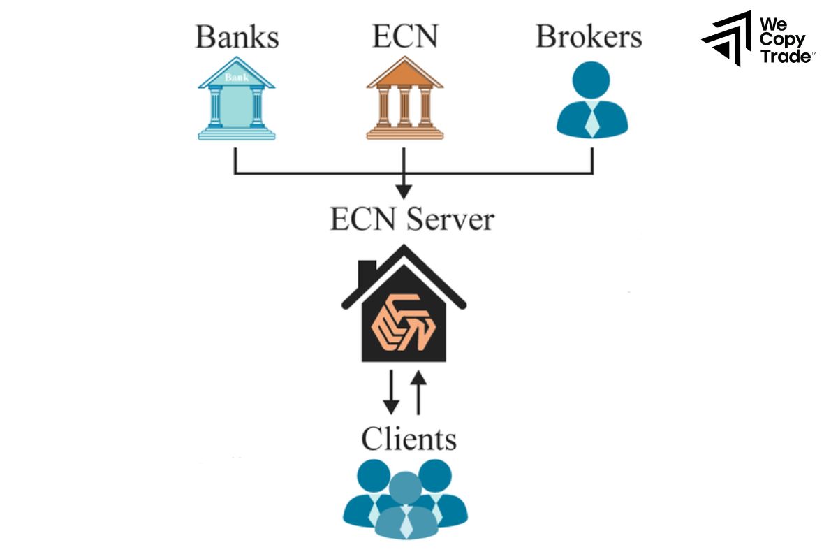 What Is An ECN Brokers?