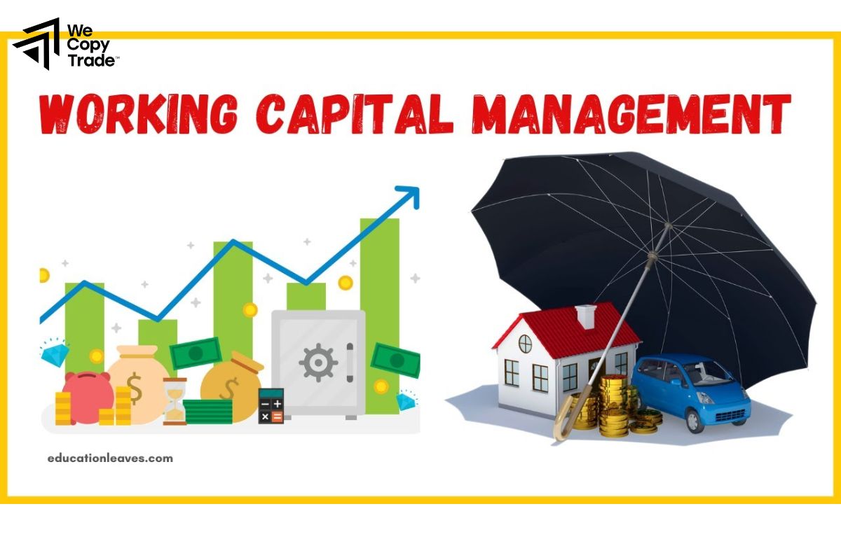 What is Capital Management?