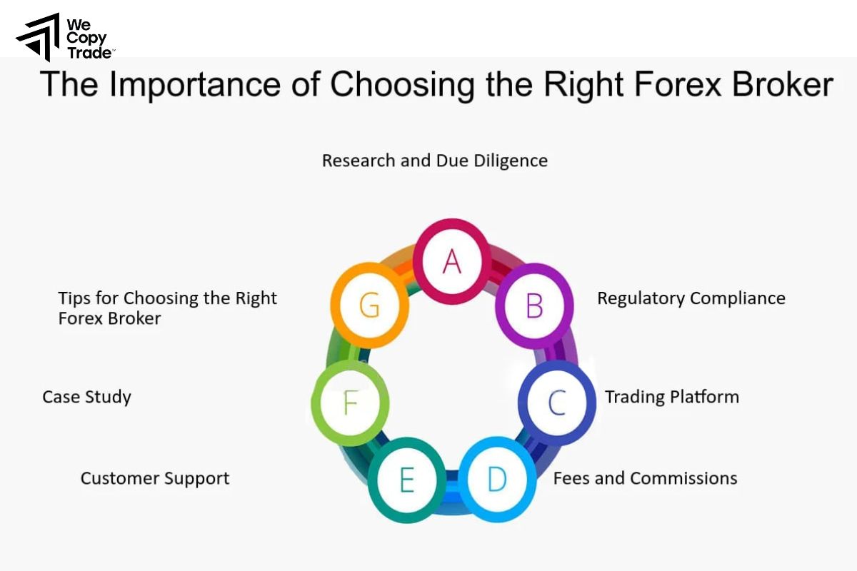 Choosing a Broker for a Forex Expert Analysis