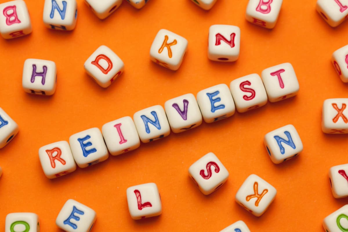 Reinvest profits for growth