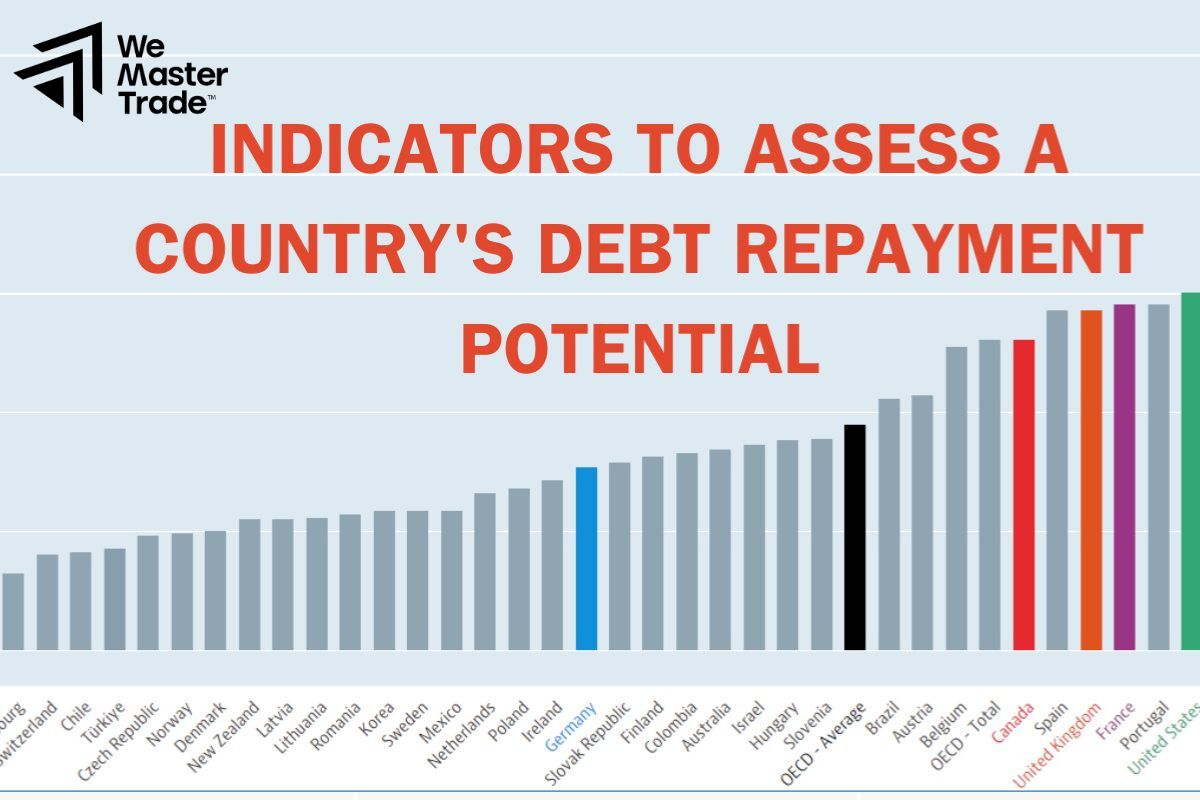 Indicators to Assess a Country's Debt Repayment Potential