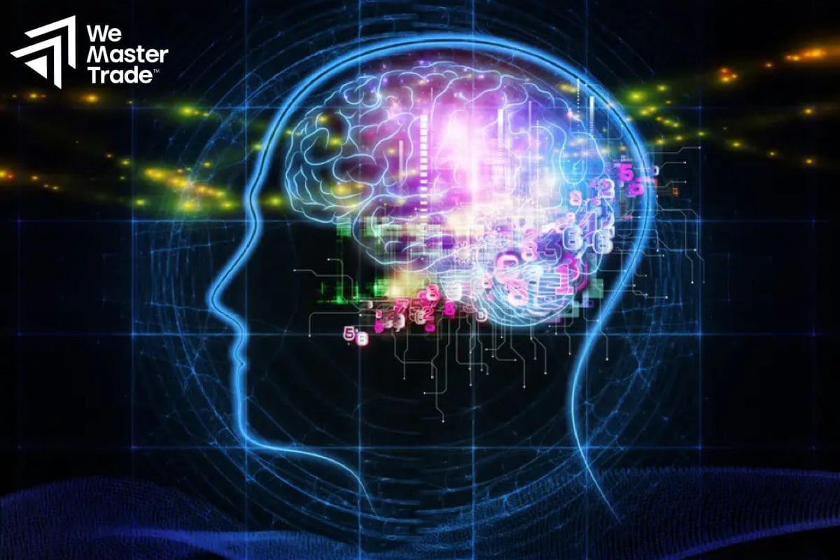 Real Experience Story